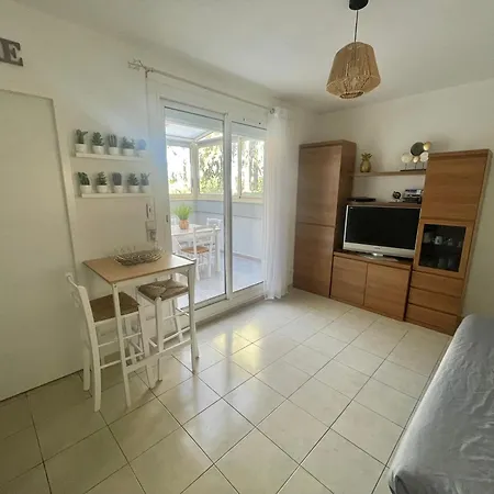 Appart WIFI, PLAGE 200 mètres Argelès-sur-Mer Esterno foto