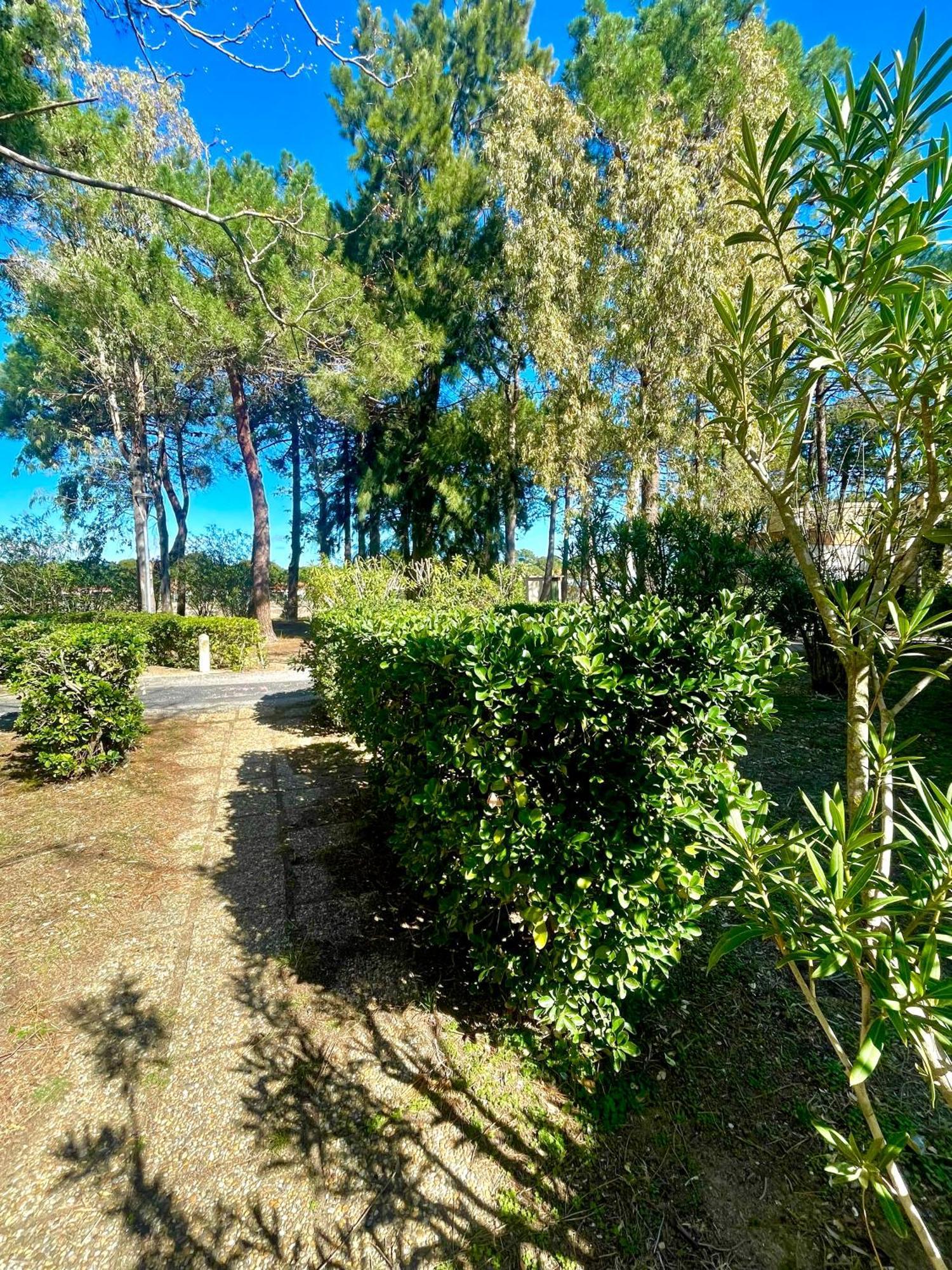 Wifi, 200 Mètres Argelès-sur-Mer