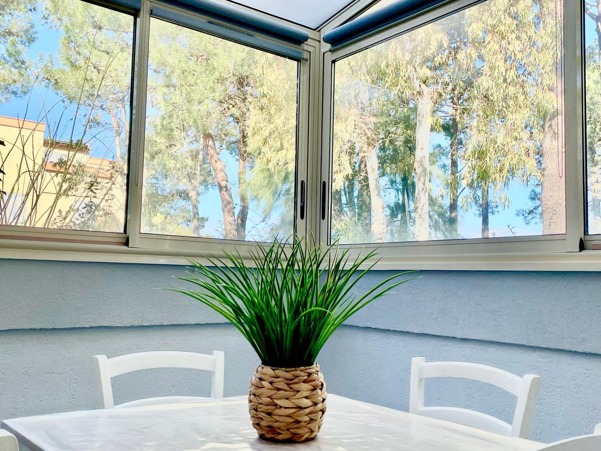 Appartement Wifi, 200 Mètres Argelès-sur-Mer
