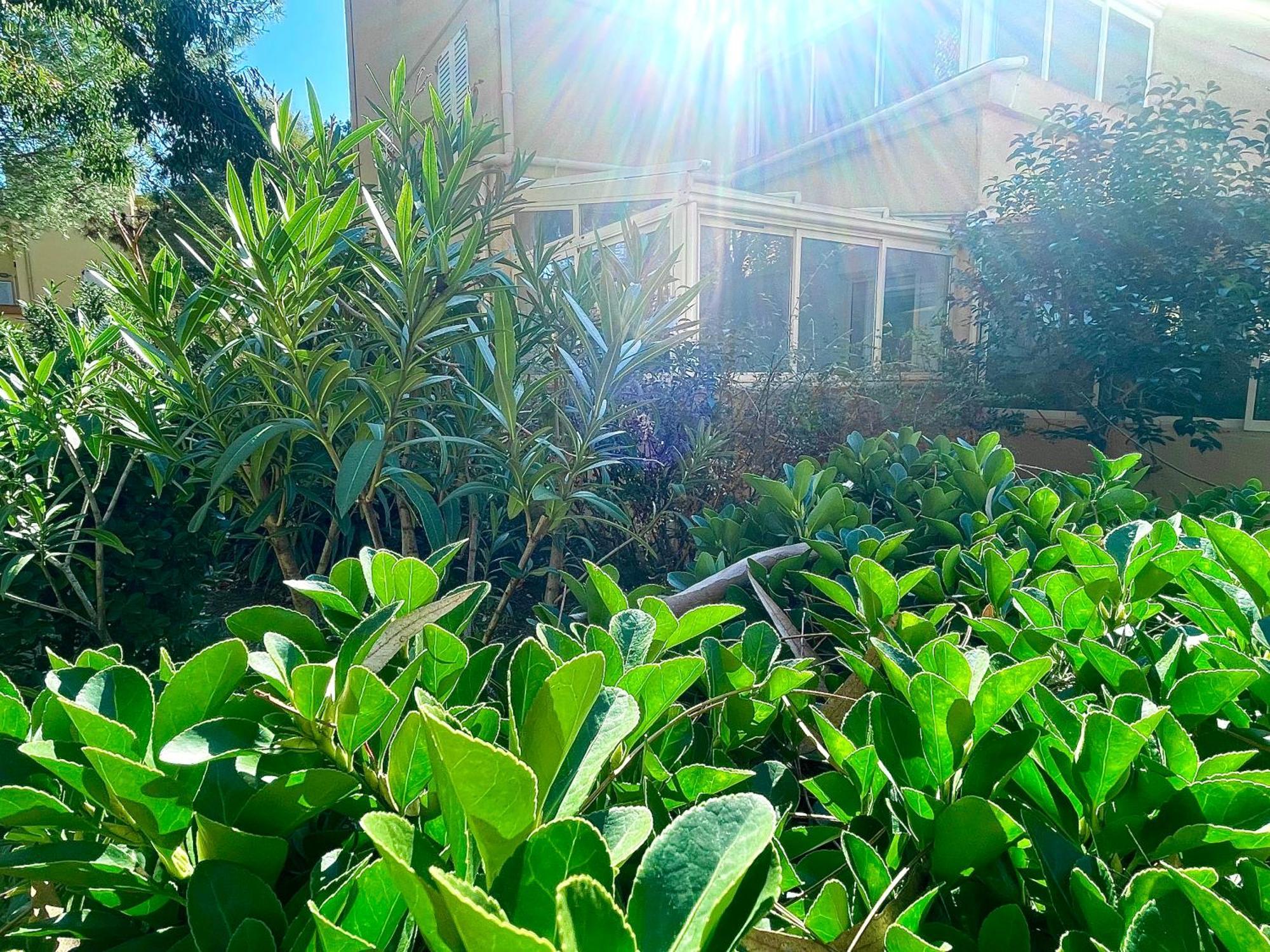 Clim , Wifi, 200 Metres * Argeles-sur-Mer